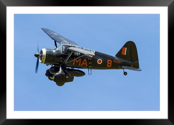 Westland Lysander Framed Mounted Print by Oxon Images