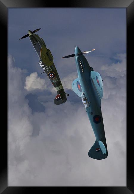  Spitfires topping the loop Framed Print by Oxon Images