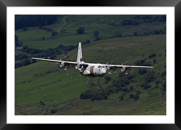 C130 Hercules 888 Framed Mounted Print by Oxon Images