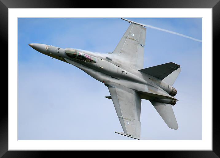 Hornet action Framed Mounted Print by Oxon Images