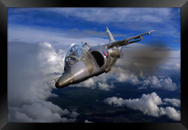 Harrier flight Framed Print by Oxon Images