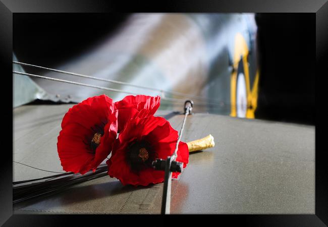 Poppies on a Tiger Moth Framed Print by Oxon Images