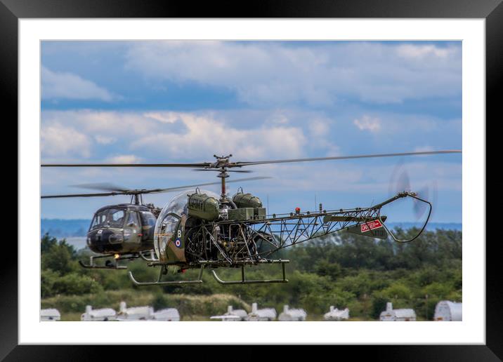 Westland Scout and Sioux Helicopters Framed Mounted Print by Oxon Images