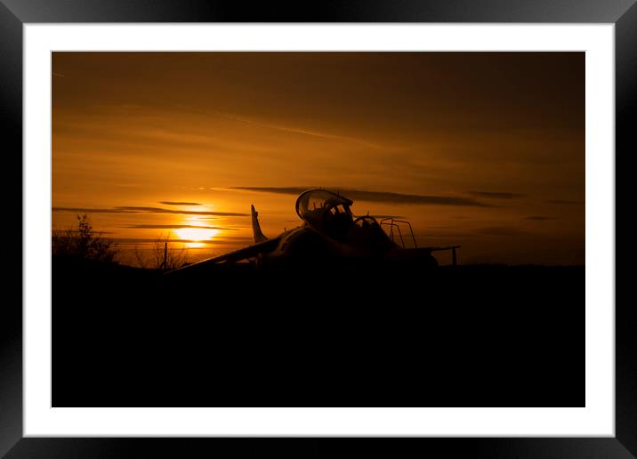 Harrier at sunset 2 Framed Mounted Print by Oxon Images