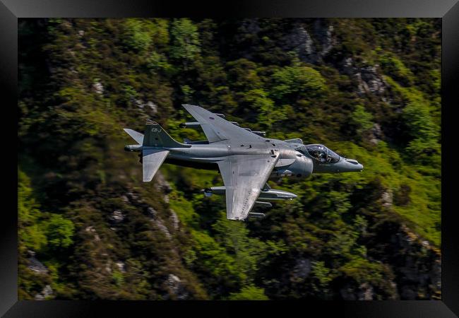 Harrier GR9 flying low Framed Print by Oxon Images