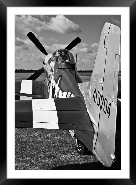 Ferocious Frankie BW Framed Mounted Print by Oxon Images