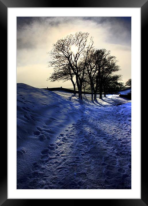 Snowy Trees, Berwick Upon Tweed Framed Mounted Print by Toon Photography