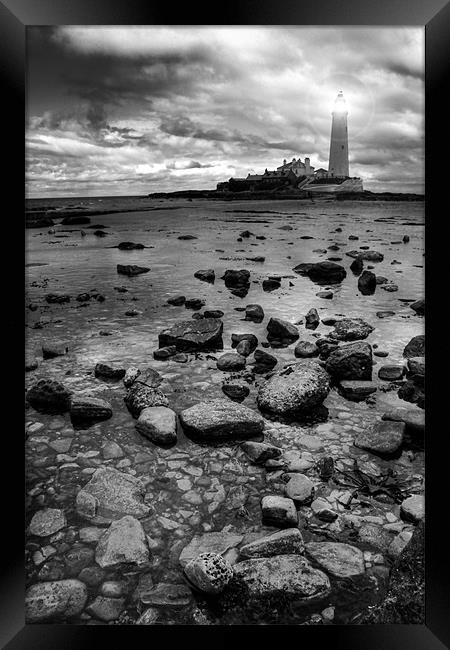 St Marys Lighthouse and Rocks Framed Print by Toon Photography