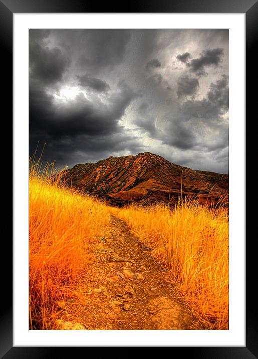 The Trail Framed Mounted Print by Viraj Nagar