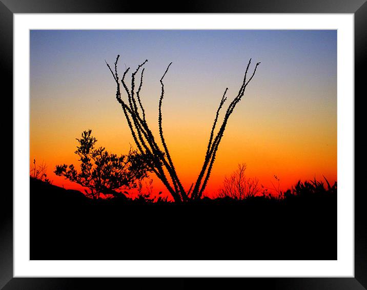 Silhouette at Sunset Framed Mounted Print by Viraj Nagar