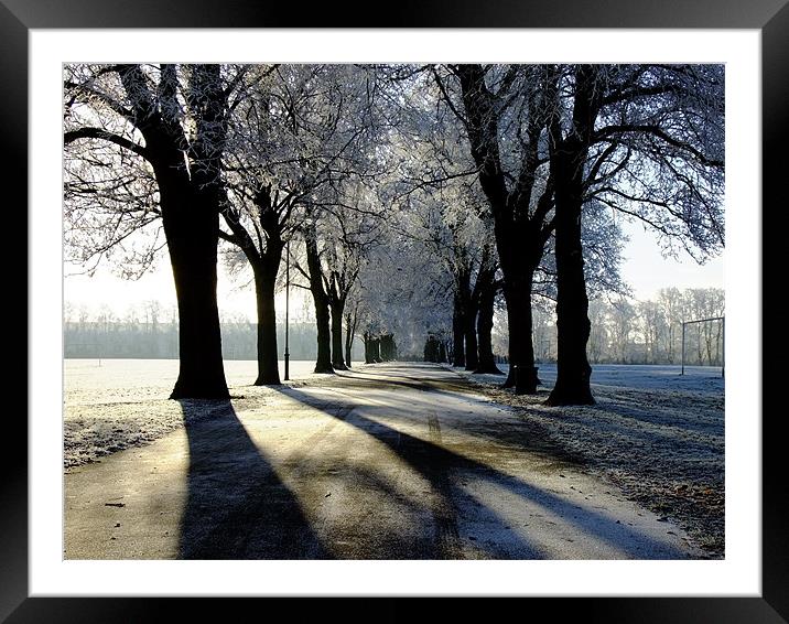 Shadows on a frosty morning Framed Mounted Print by Ginny Gregg