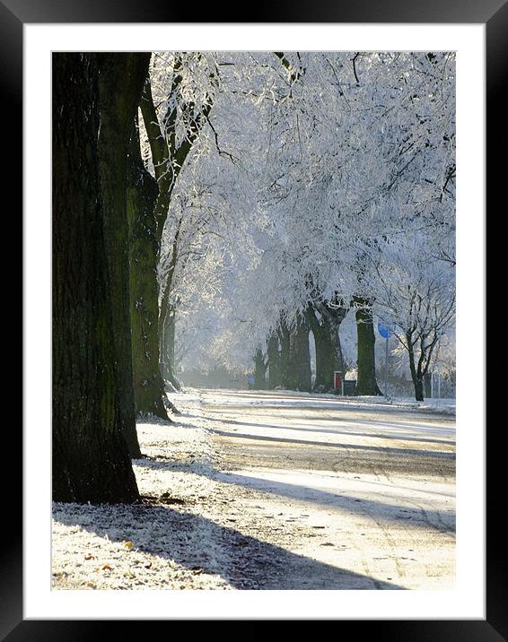 A window into Winter Framed Mounted Print by Ginny Gregg