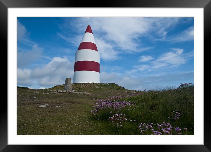 Daymark Sea Thrift Framed Mounted Print by David Wilkins