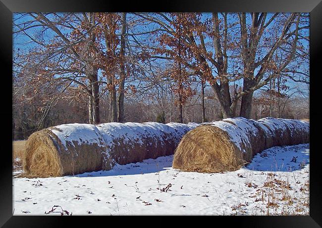 Snowy Haybales Framed Print by Susan Blevins
