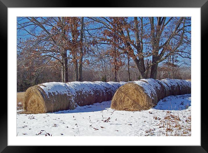 Snowy Haybales Framed Mounted Print by Susan Blevins