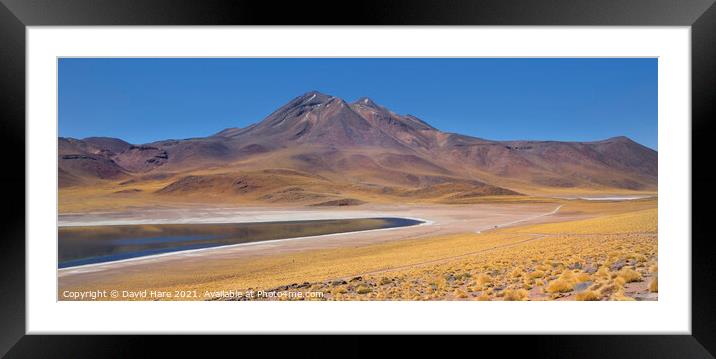 Laguna Miñiques, Atacama Desert Framed Mounted Print by David Hare