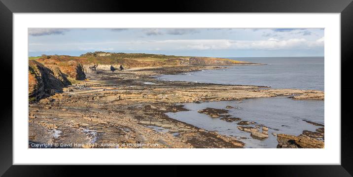 Northumberland Coast Framed Mounted Print by David Hare