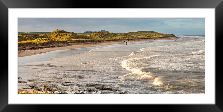 Seahouses Beach Framed Mounted Print by David Hare
