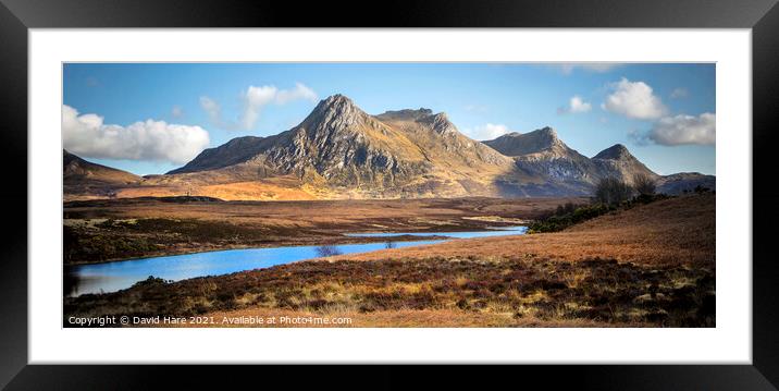 Ben Loyal Framed Mounted Print by David Hare