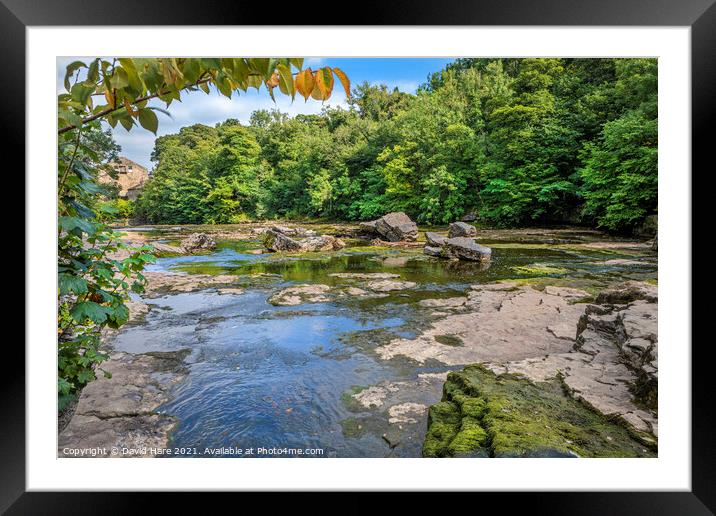 Aysgarth Falls Framed Mounted Print by David Hare