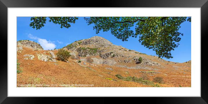 Cumbrian Hillsides Framed Mounted Print by David Hare