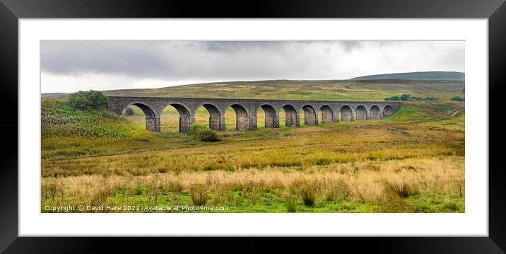 Dandrymire viaduct. Framed Mounted Print by David Hare