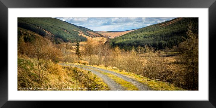 Scottish tracks and forests Framed Mounted Print by David Hare