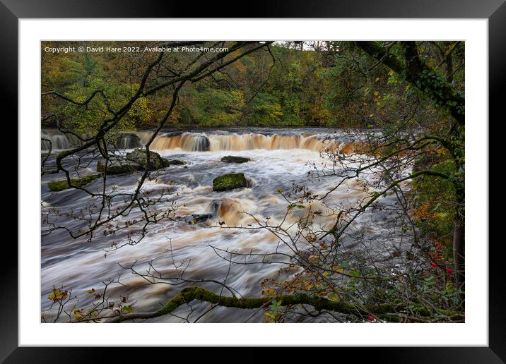 Aysgarth Falls Framed Mounted Print by David Hare