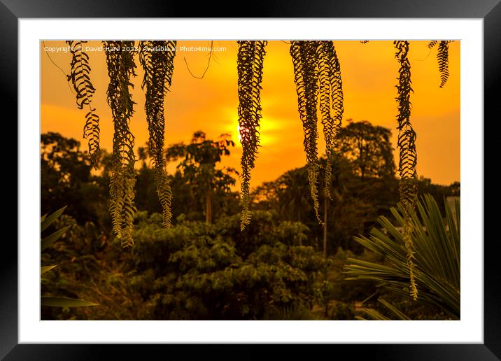 Siem Reap Sunset Framed Mounted Print by David Hare