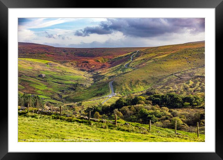 Moorland Farm Framed Mounted Print by David Hare
