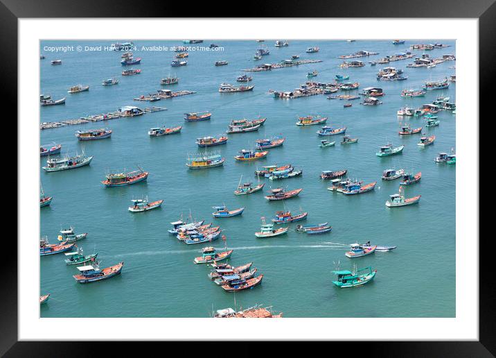 Fishing Fleet Framed Mounted Print by David Hare