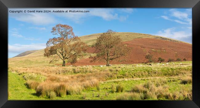 Pendle Hill Framed Print by David Hare