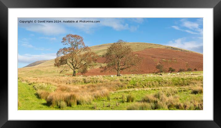 Pendle Hill Framed Mounted Print by David Hare