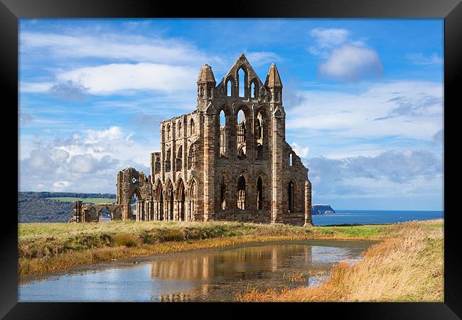 Whitby Abbey Framed Print by David Hare