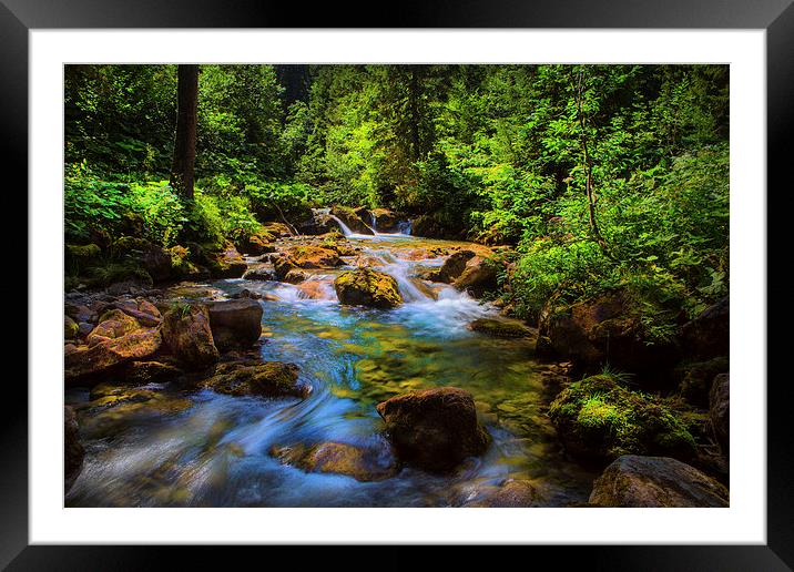 A forest stream. Framed Mounted Print by David Hare