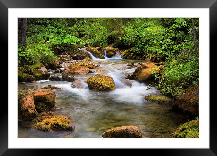 A Swiss stream. Framed Mounted Print by David Hare