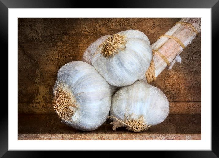  Garlic Bulbs Framed Mounted Print by David Hare