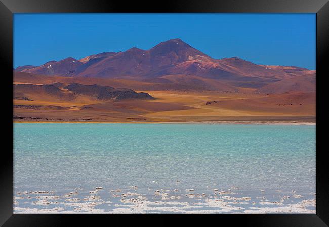 Atacama Salt Lake Framed Print by David Hare