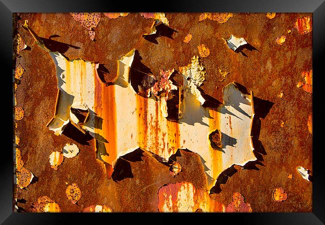  Paint on rust Framed Print by David Hare
