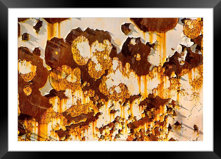  Peeling paint on rust. Framed Mounted Print by David Hare