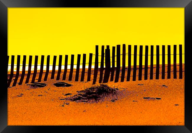 Beach Fence Framed Print by David Hare