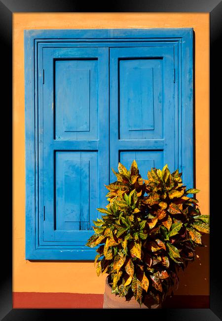 Blue Shutters Framed Print by David Hare