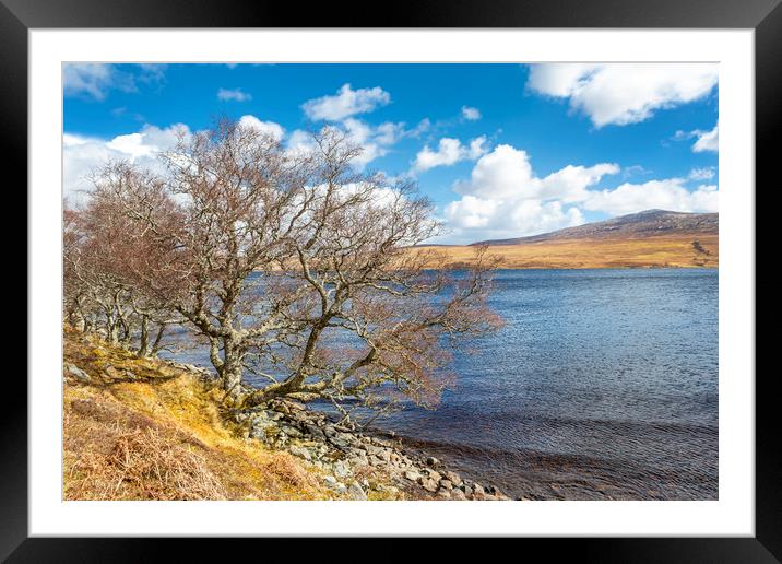 Lochside Trees Framed Mounted Print by David Hare