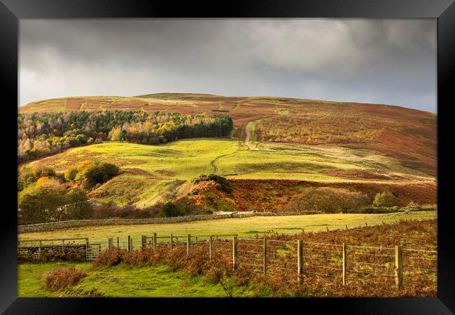 Harthorpe Valley Hills Framed Print by David Hare