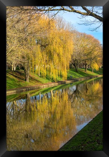Canal Reflections Framed Print by David Hare