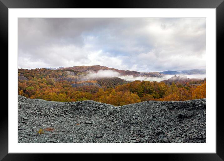 Autumnal Mist Framed Mounted Print by David Hare