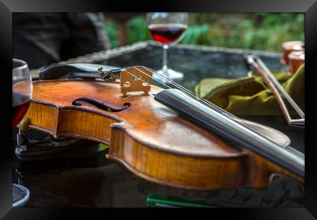 Violin with wine Framed Print by David Hare