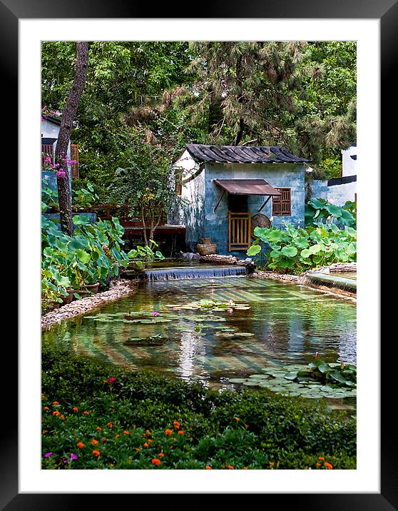 Chinese Pond Framed Mounted Print by Jim Leach