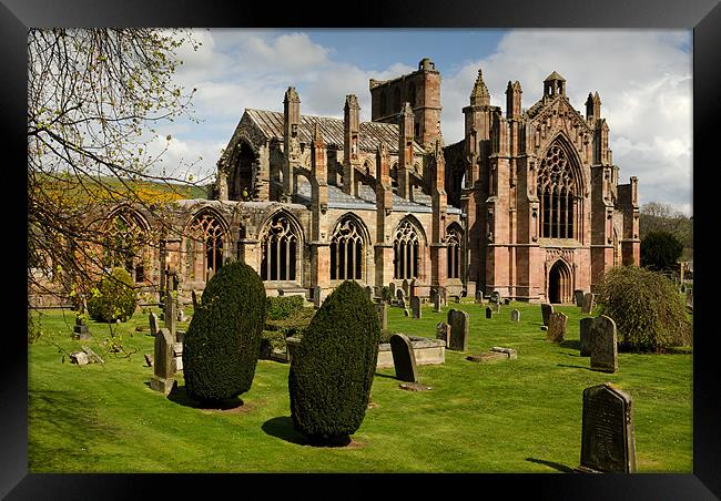 Melrose Abbey Framed Print by Allan Hendry