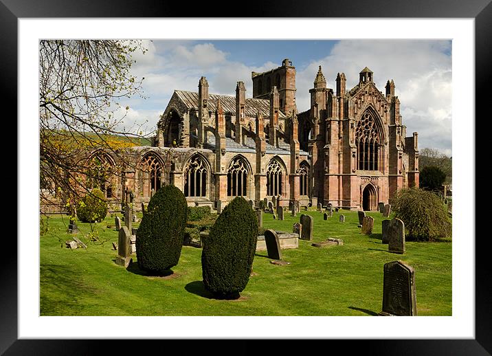 Melrose Abbey Framed Mounted Print by Allan Hendry